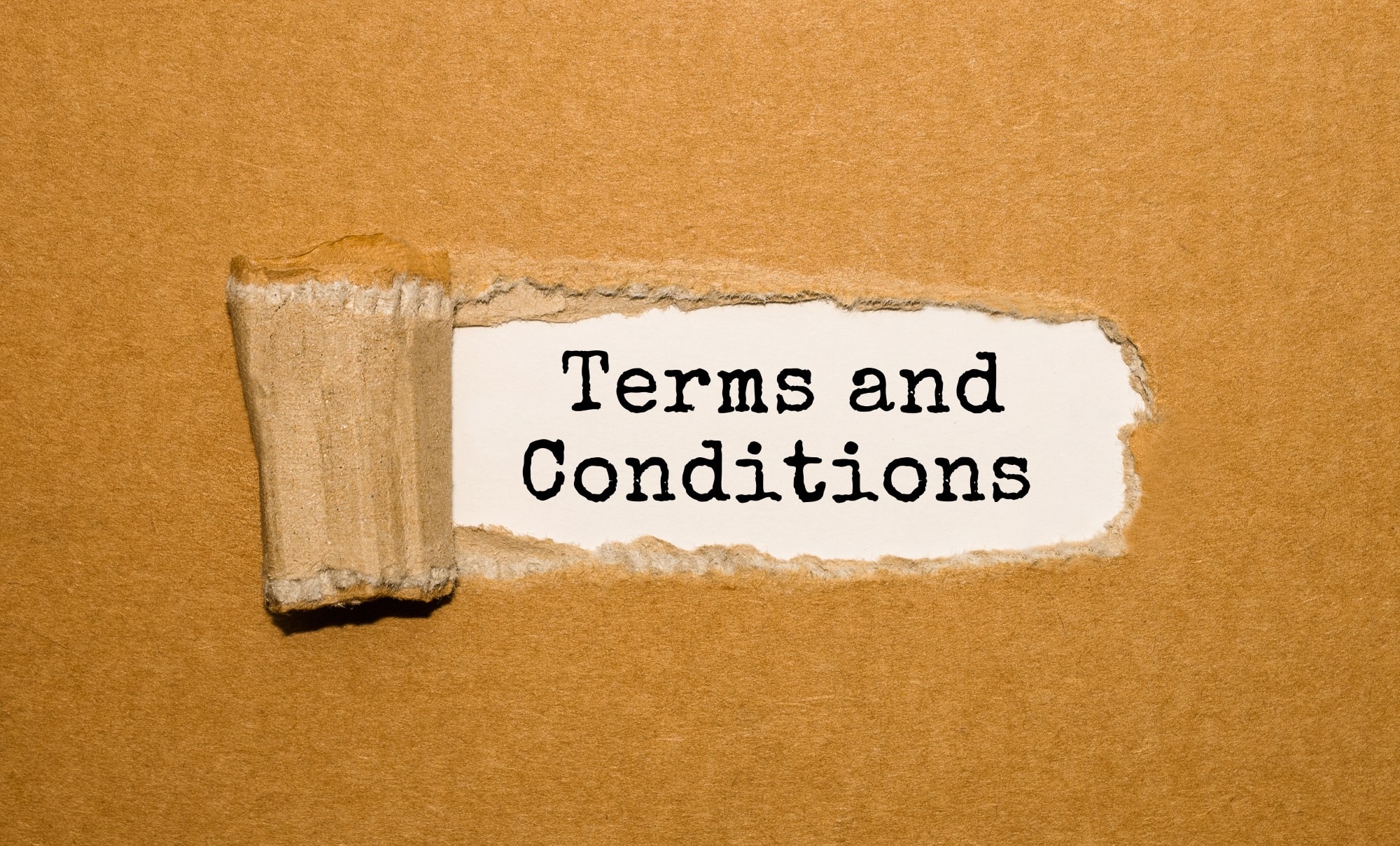 Terms and Conditions